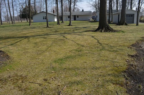 Property photo 9 - 3.4 Acres Offered in 2 Tracts - 3 Bedroom Ranch Home plus Additional Lot